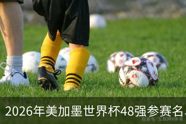 2026年美加墨世界杯48强参赛名单汇总